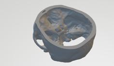 Skull Base 3D Printer Model