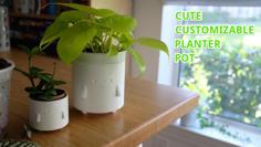 Cute Customizable Planter Pot 3D Printer Model