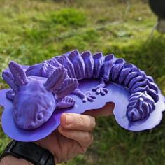 ARTICULATED AXOLOTL 3D Printer Model