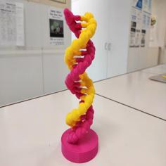 Molécule D’ADN – DNA Molecule 3D Printer Model