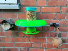 Wild Bird Feeder 3D Printer Model