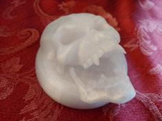 Motorcycle Skull Turn Signal Lens 3D Printer Model