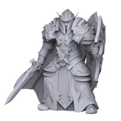 Elf Paladin 3D Printer Model