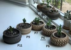 Succulent Planter 11 3D Printer Model