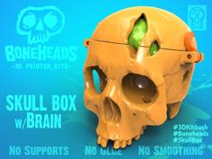 Boneheads: Skull Box W/ Brain – Via 3DKitbash.com 3D Printer Model