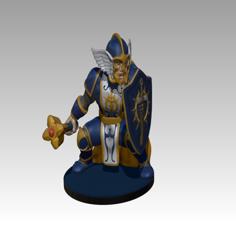 Gnome Paladin Tank 3D Printer Model