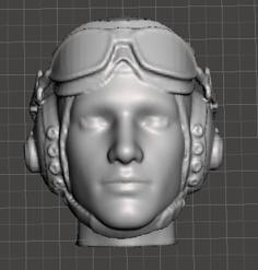 USAAF Pilot Head (Goggles Up) 3D Printer Model