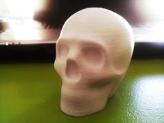 Lisa The Printable Skull 3D Printer Model