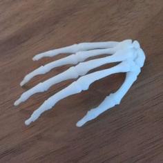 BodyParts3D Hand Skeleton 3D Printer Model