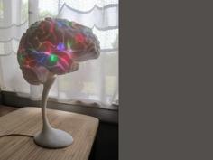 Brain Lamp Pyschedelic 3D Printer Model