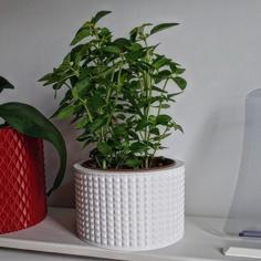 Vase Pot Planter Cachepot 2 3D Printer Model