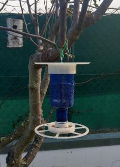 Comedero Aves Con Botella De Agua 3D Printer Model