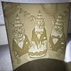 Lithophane Of A Cat Surprise Party 3D Printer Model