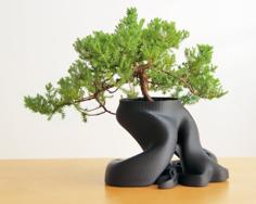 Bonsai Planter (New HD Model With Over 1,100,000 Triangles) 3D Printer Model