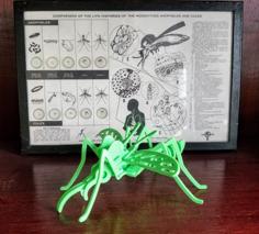 Mosquito Puzzle 3D Printer Model