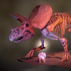 Triceratops Means “three-horned Face” 3D Printer Model