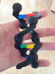 Educational DNA Model 3D Printer Model