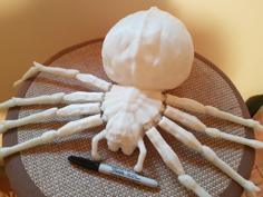 Giant Poseable Halloween Spider W/ Split Abdomen 3D Printer Model