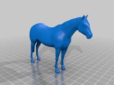 Horse Standing 3D Printer Model