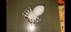 Flexi Spider / Portia / Print In Place / 3Dprint 3D Printer Model