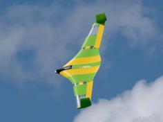 Flying Wing Buratinu 3D Printer Model