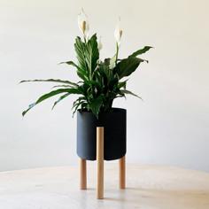 Modern Flower Pot With Wood Dowel Legs 3D Printer Model