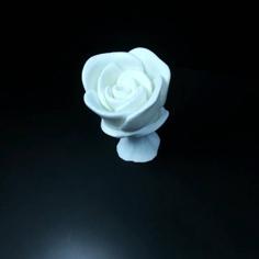 Rose 3D Printer Model