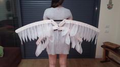 Awesome Moving Wings 3D Printer Model