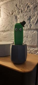 Funny Cactus In Hat 3D Printer Model