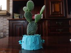 Victor The Vase 3D Printer Model