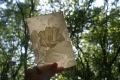 Camellia More-Than-a-Lithophane 3D Printer Model