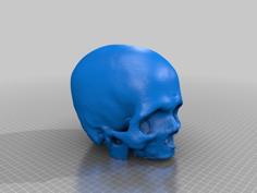 Cleaned Hollow Skull 3D Printer Model