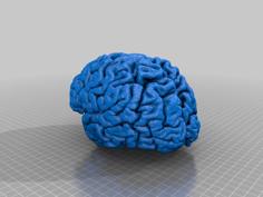 My (actual) Brain 3D Printer Model