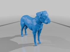 Adult Female American Bulldog 3D Printer Model