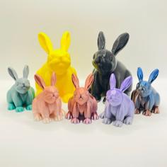 Easter Bunny Bottle Opener 3D Printer Model