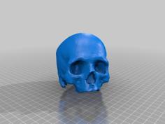 Elvis Recleaned Skull 3D Printer Model