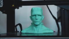 Frankenstein’s Monster Bust 3D Printer Model